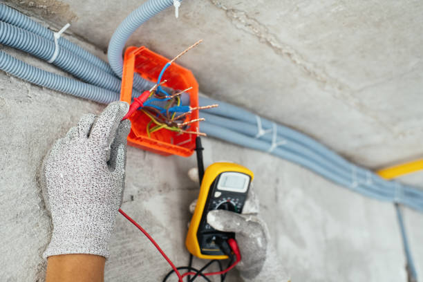 Best Ceiling Fan Installation Electrician  in Homer, AK