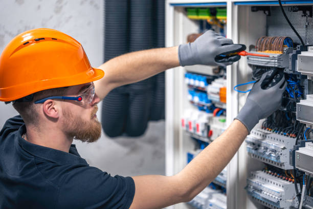 Best Electric Panel Repair  in Homer, AK
